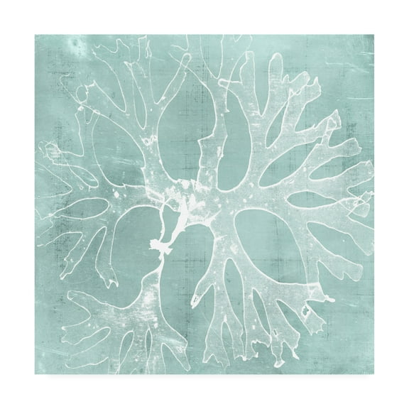 Trademark Fine Art 'Seaweed on Aqua III' Canvas Art by Vision Studio