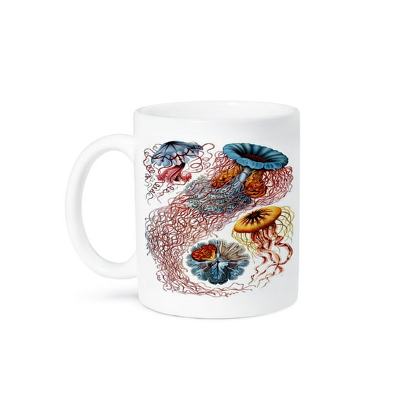 3dRose, 1904 German Biologist Vintage Drawings Of Jellyfish, 11oz Mug