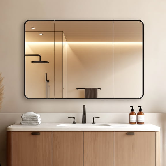 Talayuela 48 in.W x 32 in.H Aluminum Framed Medicine Cabinet in Brushed Black