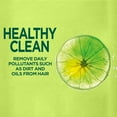 thumbnail image 2 of Garnier Fructis Pure Clean Zero Silicone Fortifying Conditioner for Normal to Oily Hair, with Citrus Extract, 2 of 7