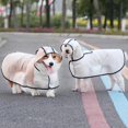 thumbnail image 5 of Imperméable pour Chien avec poncho à Capuche, Imperméable Transparent pour Animaux de Compagnie, Imperméable pour Chiot, 5 of 5