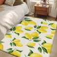 thumbnail image 4 of 3'x5' Area Rugs, Yellow Lemons Indoor Outdoor Area Rug for Living Room Bedroom, Summer Citrus Fruits Leaves Country Vintage Washable Bathroom Rugs Kitchen Floor Carpet Mats Home Decor Aesthetic, 4 of 8