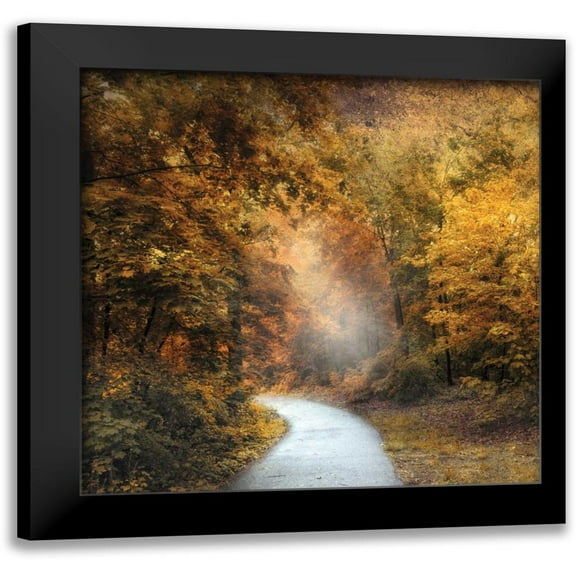Jenney, Jessica 12x12 Black Modern Framed Museum Art Print Titled - October Trail