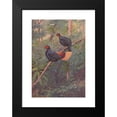 thumbnail image 2 of George Edward Lodge 14x18 Black Modern Framed Museum Art Print Titled - Malayan Crestless Fireback (1918-1922), 2 of 5