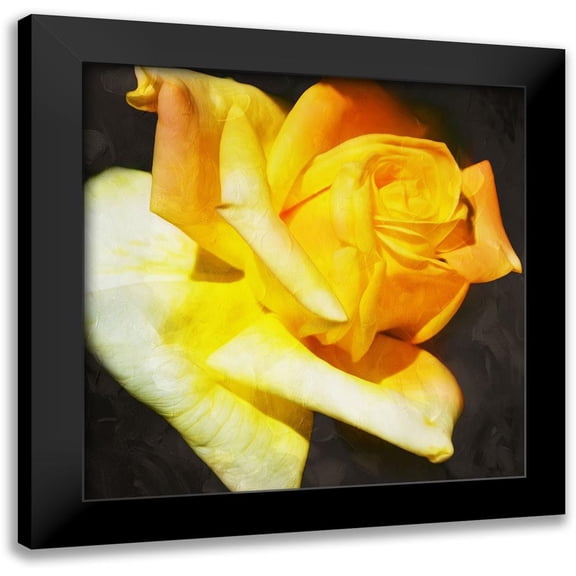 Villa, Mlli 12x12 Black Modern Framed Museum Art Print Titled - Yellow Rose