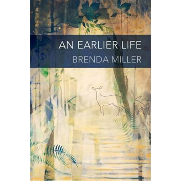 Pre-Owned An Earlier Life