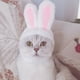 thumbnail image 2 of Para gatos, conejos, perros, fiestas, orejas, mascotas, perros pequeños, conejitos, mascotas, otros, 2 of 7