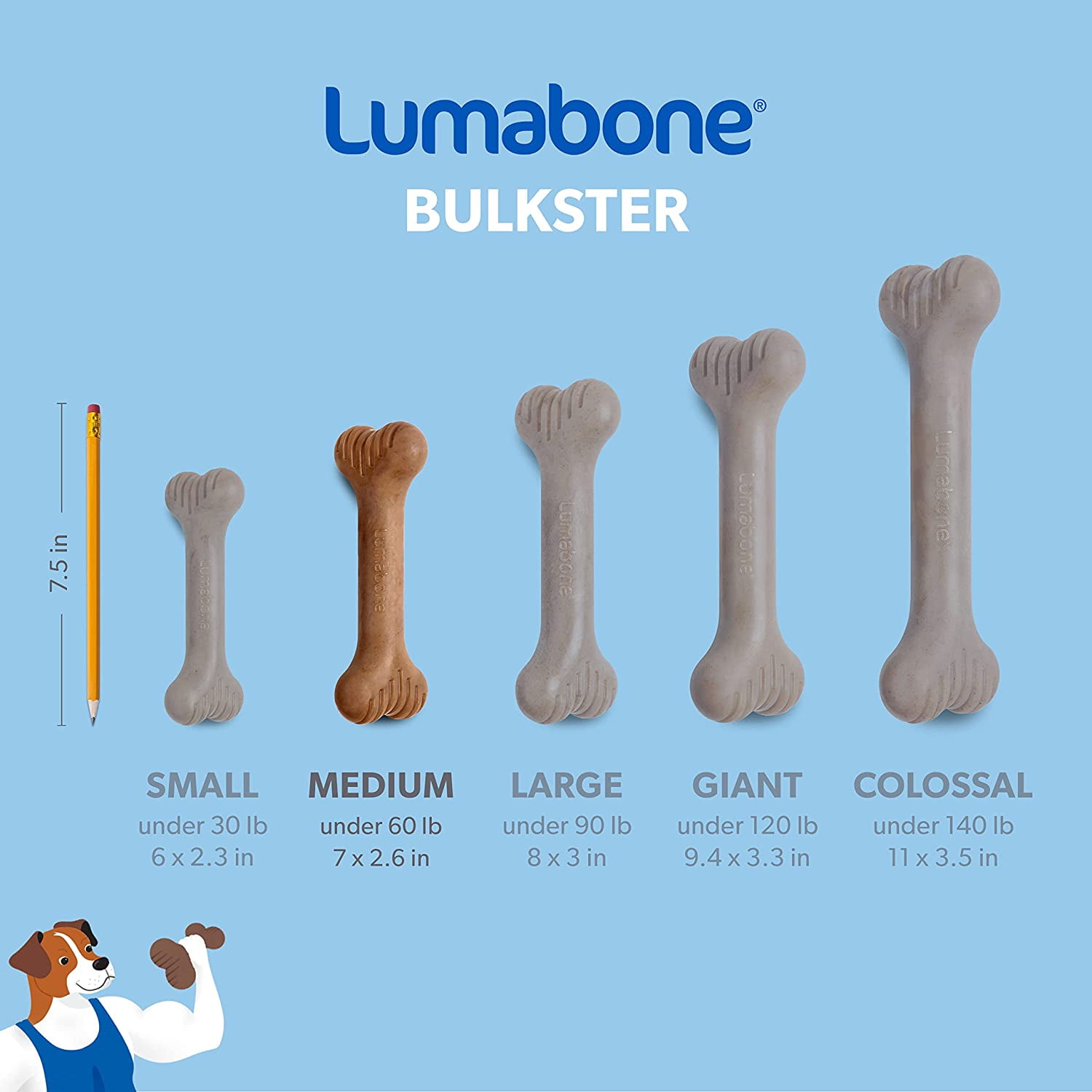 Lumabone Real Beef Durable Bulkster Dog Chew Toy, Medium