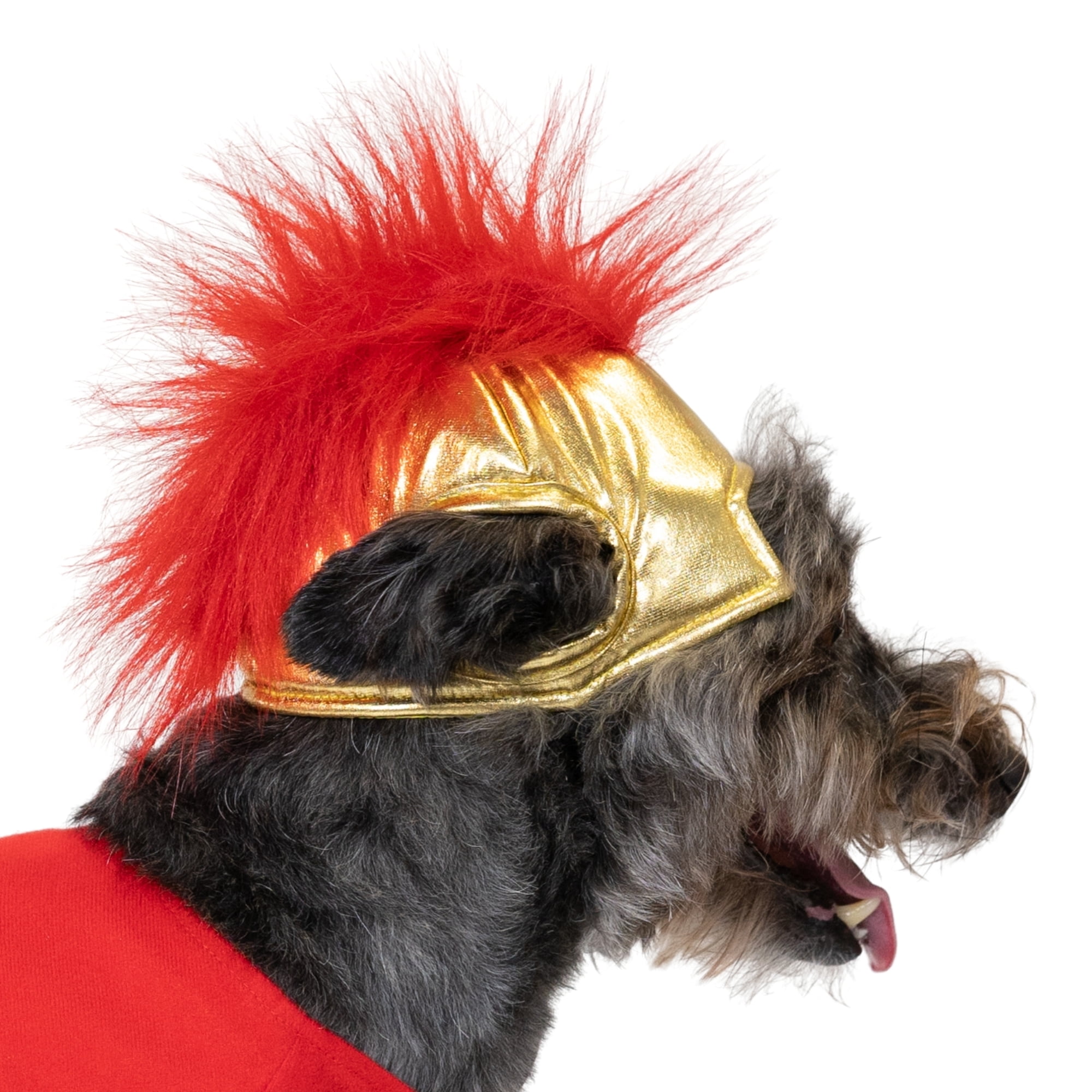 Vibrant Life Halloween Gladiator Costume for Dogs and Cats, Multicolor, Small