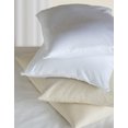 thumbnail image 3 of Bucky Bed Pillow Case White 15x20, 3 of 3