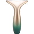 thumbnail image 4 of Masajeador de estiramiento de cuello, vibración de microcorriente que atenúa las líneas finas, dispositivo para el cuidado de la piel que tensa la piel del cuello y mejora la firmeza y la suavidad, 4 of 4
