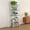 Blue & White, variant on HOMLUX 5-Tier 57.4" Open Shelf Bookcase, Compact Storage Bookshelf for Living Room Bedroom Office, Light Cherry & Black