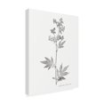 thumbnail image 2 of Vision Studio 'Botanical Imprint II' Canvas Art, 2 of 3