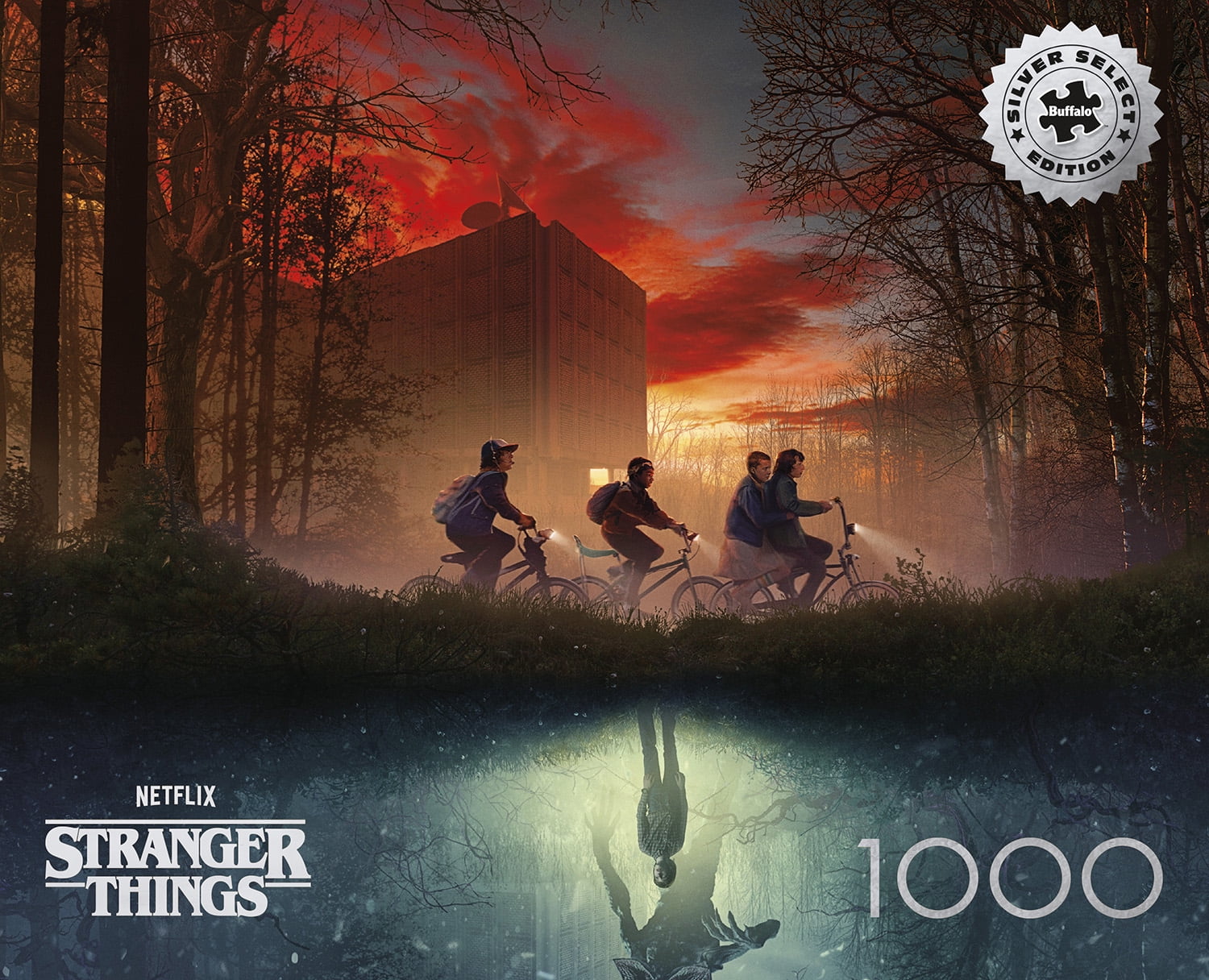 Buffalo Games Missing Friend 1000-Piece Interlocking Jigsaw Puzzle for Adults Ages 14-99 Years