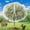 15*15FT(White), variant on 15ftx15ft Extra Large Fruit Tree Netting Reusable Durable Mesh Cover With Zipper And Drawstring For Protection From Birds Cicadas Squirrels