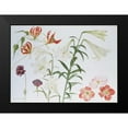 thumbnail image 2 of Blackadder, Elizabeth 24x18 Black Modern Framed Museum Art Print Titled - Lilies and Begonias, 2 of 5