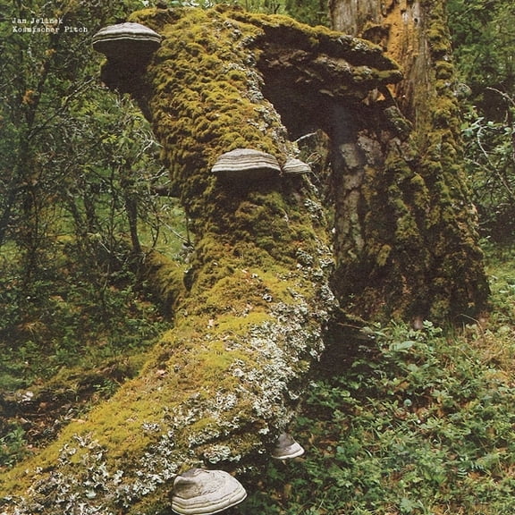 Jan Jelinek - Kosmischer Pitch - Music & Performance - Vinyl