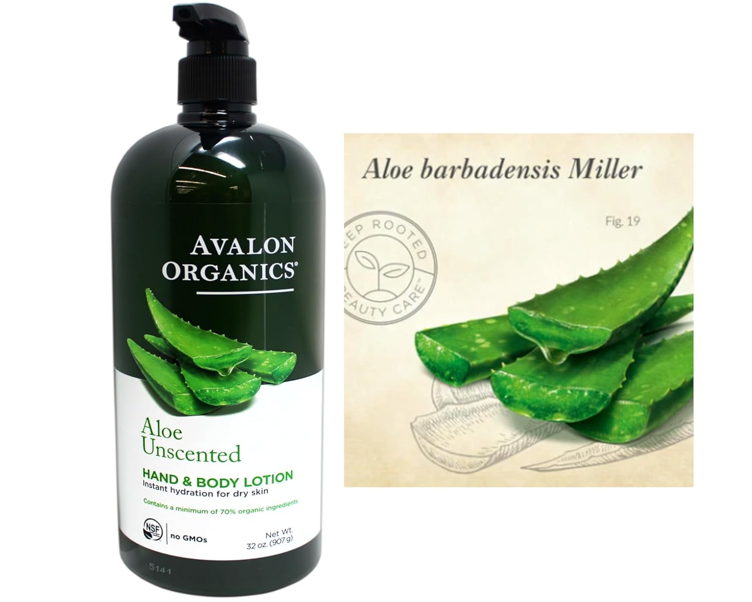 Avalon Organics Hand & Body Lotion, Aloe Unscented, Hydrating
