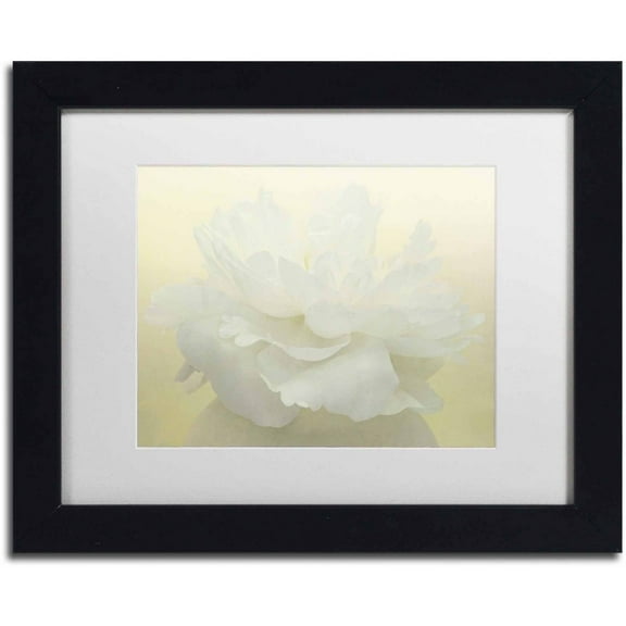 Trademark Fine Art 'Pure White Peony' Canvas Art by Cora Niele, White Matte, Black Frame