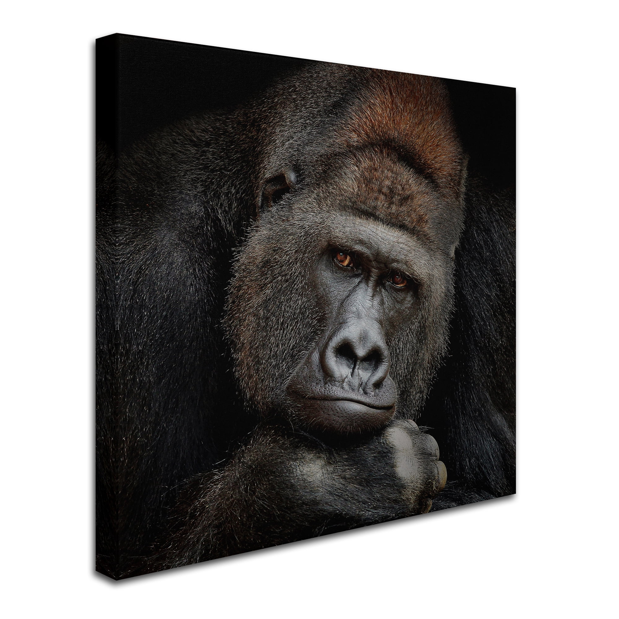 Trademark Fine Art 'One Moment In Contact' Canvas Art by Antje Wenner-Braun
