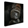 thumbnail image 2 of Trademark Fine Art 'One Moment In Contact' Canvas Art by Antje Wenner-Braun, 2 of 3
