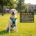 thumbnail image 6 of Nallwabiu No Pull Dog Harness Adjustable Vest with a Training Handle, Pocket, Easy to Put on & Take Off, With dog leash, 6 of 6