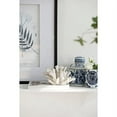 thumbnail image 3 of A & B Home Coastal Inna Faux Elkhorn Coral With White Finish 74992-DS, 3 of 3