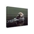 thumbnail image 2 of Trademark Fine Art 'Just Resting Sea Otter' Canvas Art by Ron Parker, 2 of 3