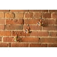 thumbnail image 3 of Climbing Man Classic Wall-Art Sculpture | Multicolor, 3 of 5