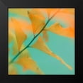 thumbnail image 2 of Stalus, Judy 15x15 Black Modern Framed Museum Art Print Titled - Fern Dance 2, 2 of 5
