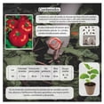 thumbnail image 3 of Semillas Jitomate Bola Vita, 3 of 5