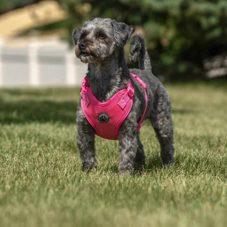 Vibrant Life Dog Harness Mesh Adjustable Reflective Dog Walking Pet Harness Pink Size Small