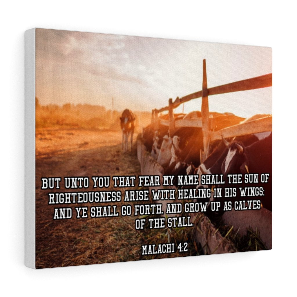 Bible Verse Canvas And Ye Shall Go Forth Malachi 4:2 Christian Home Décor  Wall Art Scripture Ready To Hang Faith Print - Walmart.com