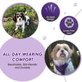 thumbnail image 3 of Arnés de coche para perros Lukovee, ajustable, morado, para perros pequeños, 3 of 8