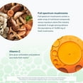 thumbnail image 7 of Youtheory Immune+ Daily Wellness with Vitamin C, D3 & Zinc Vegetarian Capsules, 60 ct, 7 of 7