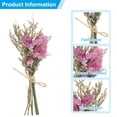thumbnail image 3 of Uxcell Mini Dried Flower Bouquet 6 Pcs Forget-me-not Natural Wildflower with Stem Decor Boho Floral Plant Flower Pink, 3 of 6