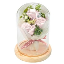 Nmdmisc Preserved Flowers Bouquet Gifts for Her,Eternal Rose Gift for Women,Preserved Rose in Glass Dome with LED Light Ideal for Christmas,Birthday,Anniversary,Valentine's Day,Mother's Day,Pink