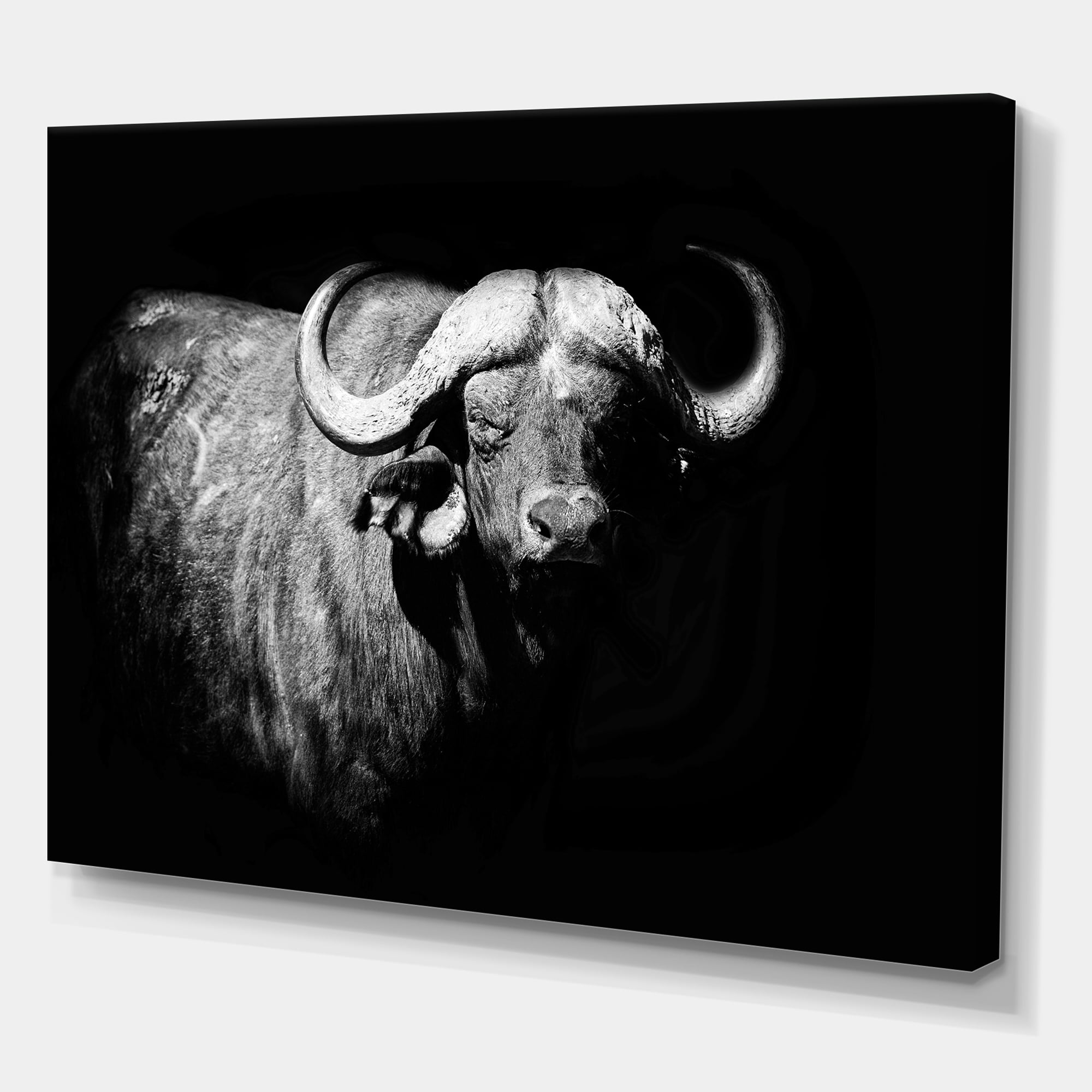 Designart ' Black and White Portrait Of Buffalo I ' Farmhouse Canvas Wall Art Print