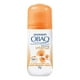 thumbnail image 1 of Desodorante antitranspirante Garnier Obao frescura intensa para dama en roll on 65 g, 1 of 4
