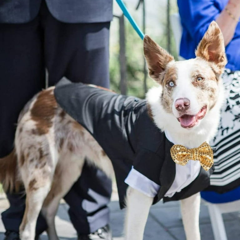 Zexumo Dog Shirt Puppy Pet Small Dog Clothes Stylish Suit Bow Tie Costume Wedding Shirt Formal Tuxedo with Black Tie Dog Prince Wedding Bow Tie