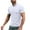 White, variant on Men's Workout T-shirts Short Sleeve Stand Collar 1/4 Zip Pullover Quick Dry Fitness Tops Sports Muscle Tee Tshirts (XL, Yellow)