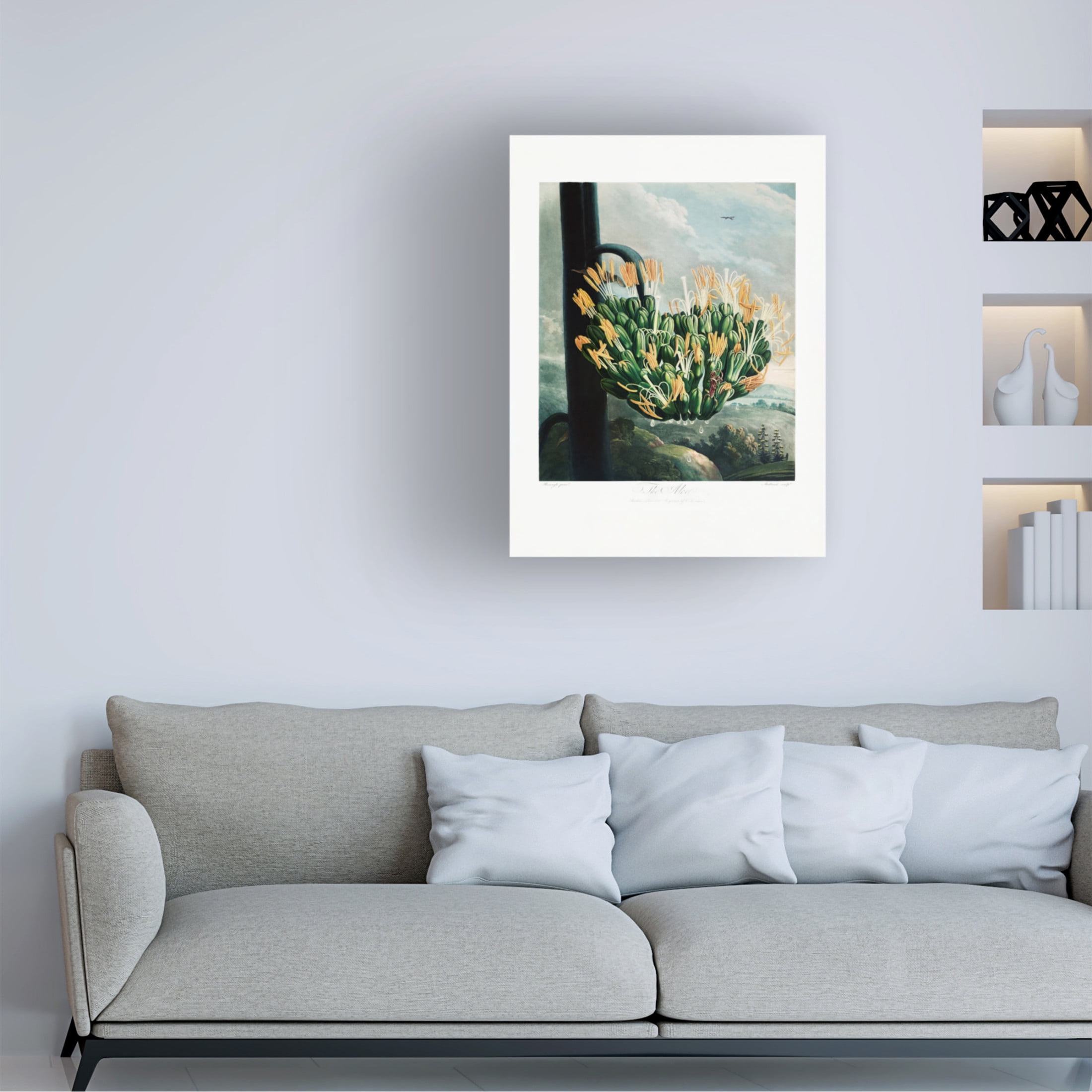 Trademark Fine Art Pictufy  The Aloe from The Temple of Flora 1807 Canvas Wall Art