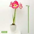 thumbnail image 2 of 6 Pack Plant Support Stakes, Garden Single Stem Flower Support Stake Plant Cage Support Rings for Plant Support for Amaryllis Tomatoes Orchid Lily Peony Rose Flower Stem, 2 of 5