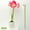 16", variant on 6 Pcs Flower and Plant Support Stakes, Reusable Plant Stakes for Indoor, Plastic Plant Cage Holder Ring, Indoor Outdoor Plant Flowers, Amaryllis, Tomatoes, Vegetable,12"