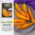 thumbnail image 3 of 2 Packs Hale's Best Melon Seeds - Non-GMO Heirloom Full Sun Annual Vegetable, 3 of 7