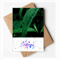thumbnail image 1 of Nature Photography Welcome Back Greeting Cards Envelopes Blank, 1 of 3