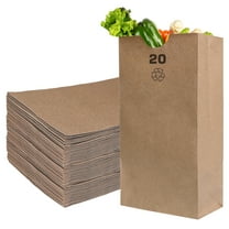 [100 Count] Large Brown Kraft Paper Bag (20 lb) - Paper Lunch Bags, Snacks, Gift Bags, Grocery, Merchandise, Party Bags (8 x 5.5 x 16 in) (20 Pound Capacity) by EcoQuality