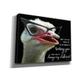 thumbnail image 2 of Epic Graffiti 'Ostrich Don't Text Me' by Cindy Jacobs, Canvas Wall Art, 54"x40", 2 of 8