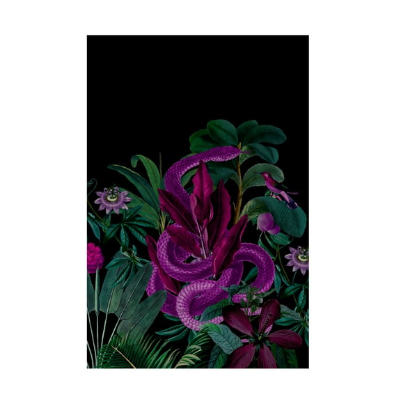 Andrea Haase 'Midnight Jungle Snake' Canvas Art