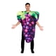 thumbnail image 1 of Disfraz de uvas moradas para adulto, talla única | Toynk, 1 of 4